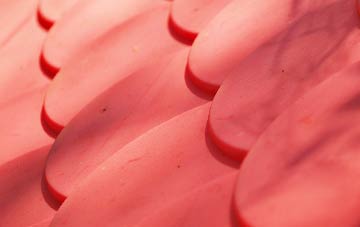 Daybrook plastic roof costs